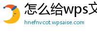 怎么给wps文档加密保护文件夹密码